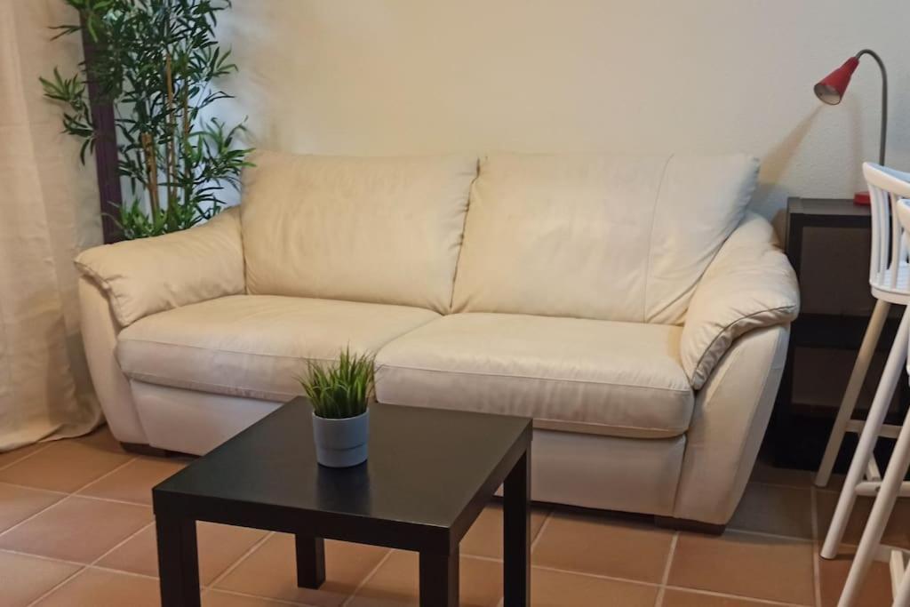 Apartment En Archena Paraiso Termal Al Lado Del Balneario Murcia